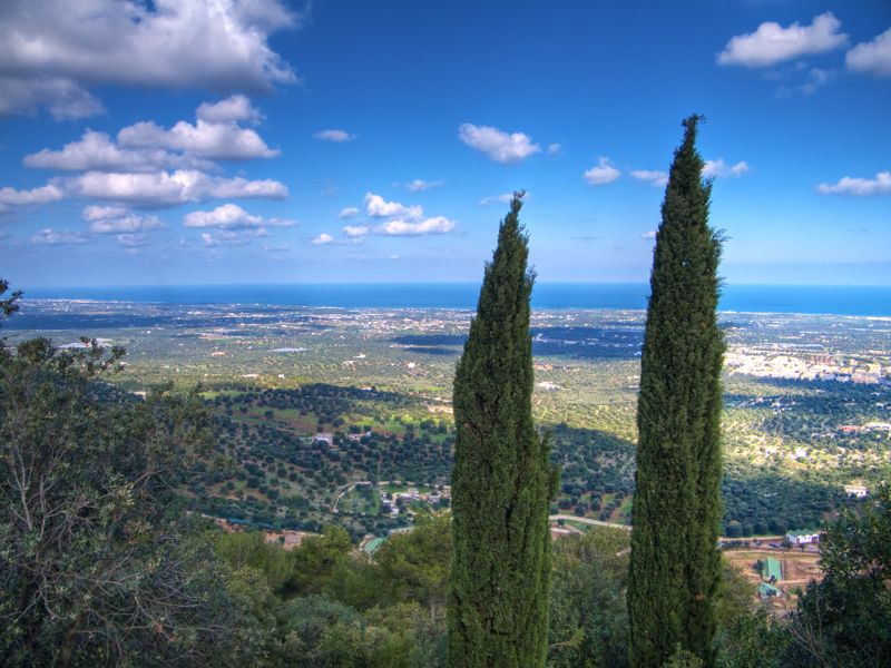 Scopriamo La Selva Di Fasano Appulia Scopriamo La Selva Di Fasano Appulia